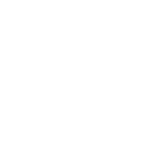 Al-Wasl-Trading-Group-white