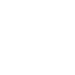 DOUBLE-SQUARE-ENG.-CONSULTANCY-white